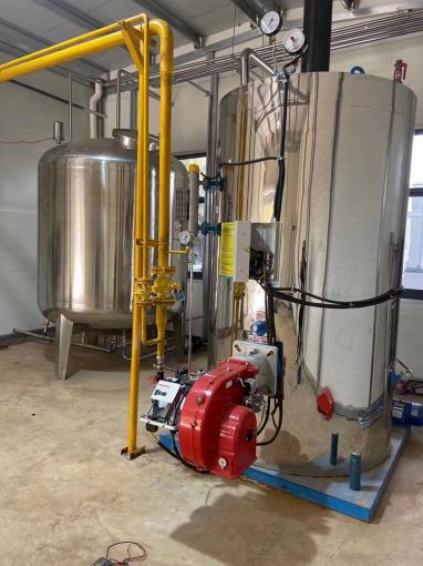 立式燃气蒸汽发生器